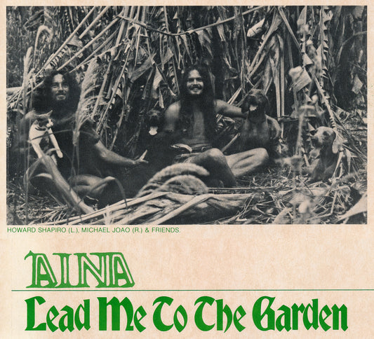 Interview: ʻĀina's Howard Shapiro Leads Us to "Your Light", Spirituality, and Life In Hawaii