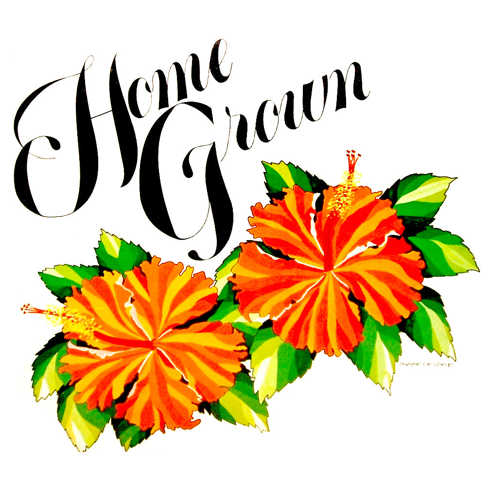 Home Grown II 1977 KKUA Records