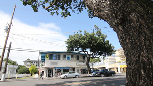 Hungry Ear's New Location in Honolulu + Hawaii Record Fair 2014