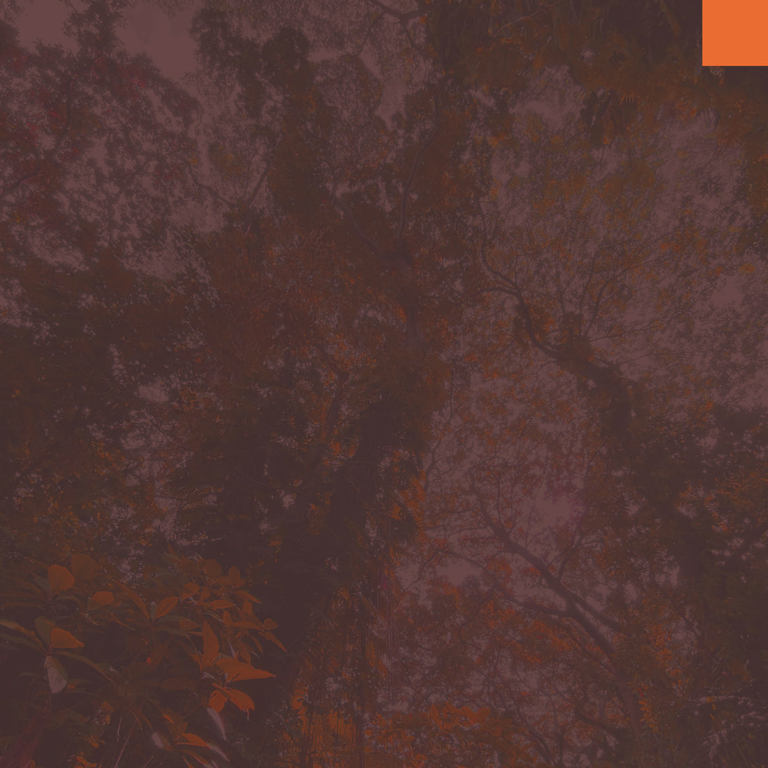 2020 End of Year recap, part 3: Madvillain, Dae Han, and all 25 releases of 2020