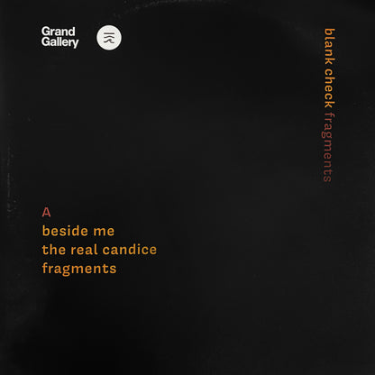 空白小切手 - 破片（AGS-023）