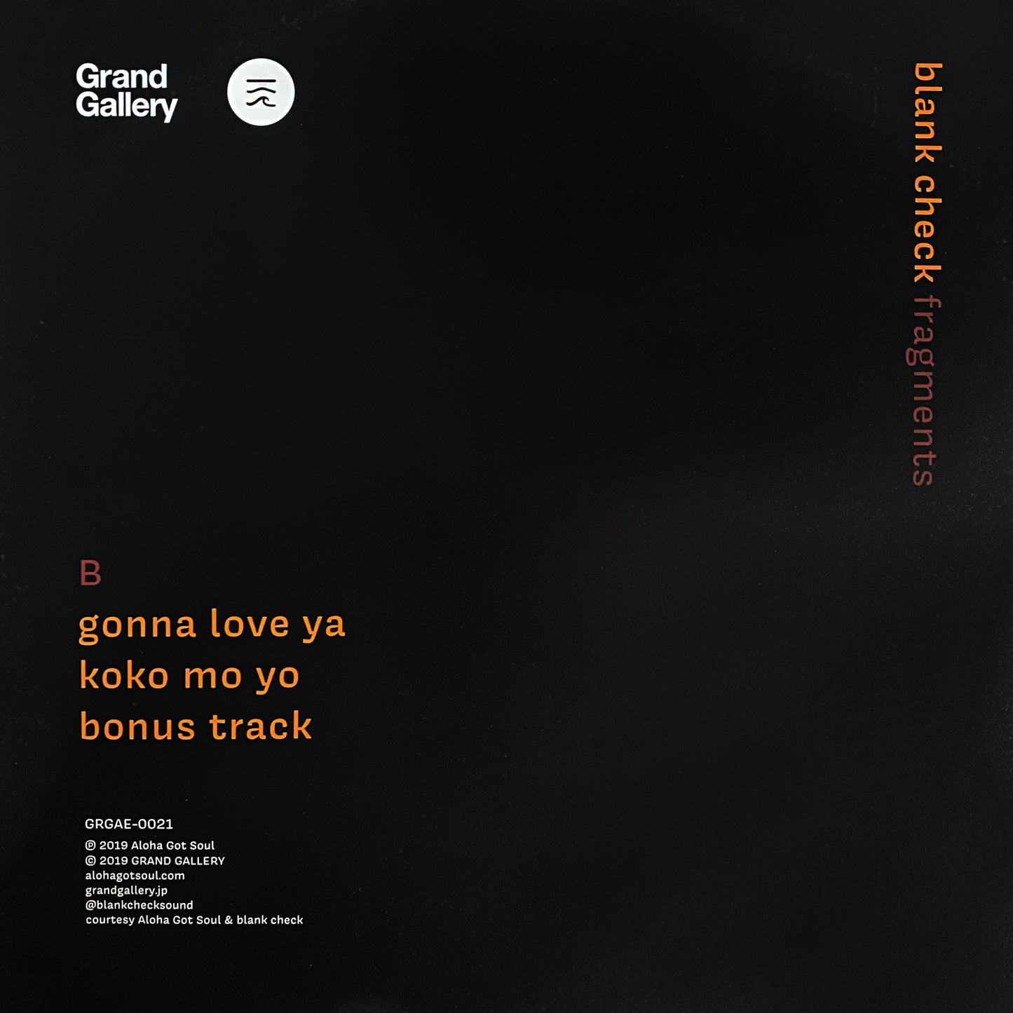 空白小切手 - 破片（AGS-023）