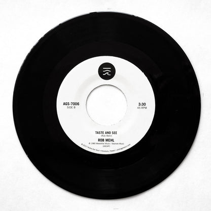 ロブ・メール - ハウス・オン・ザ・ロック / テイスト・アンド・シー (AGS-7006)